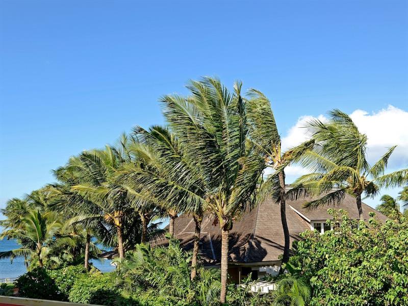 Nani Kai Hale 303 By Vacation Rental Pros Vr Kihei Kültér fotó